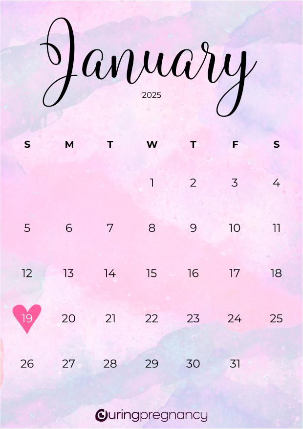 Due date calendarfor January 19, 2025