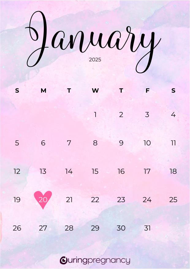 Due date calendarfor January 20, 2025