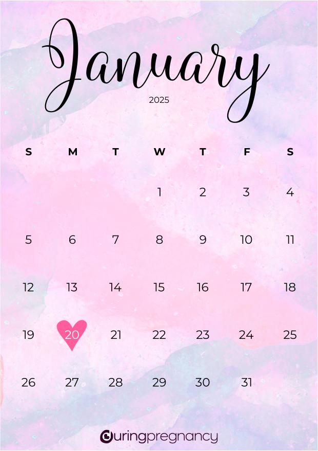 What Day Is January 20 2025 Hestia Sherill