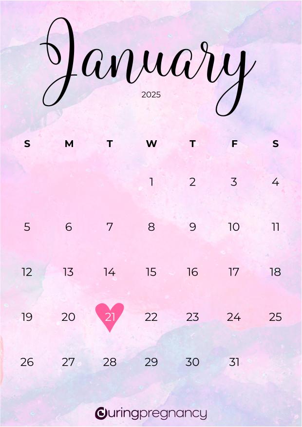 Due date calendarfor January 21, 2025
