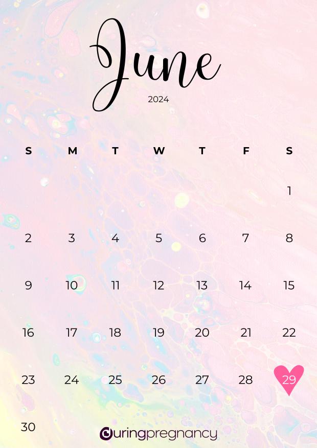 Due date calendarfor June 29, 2024