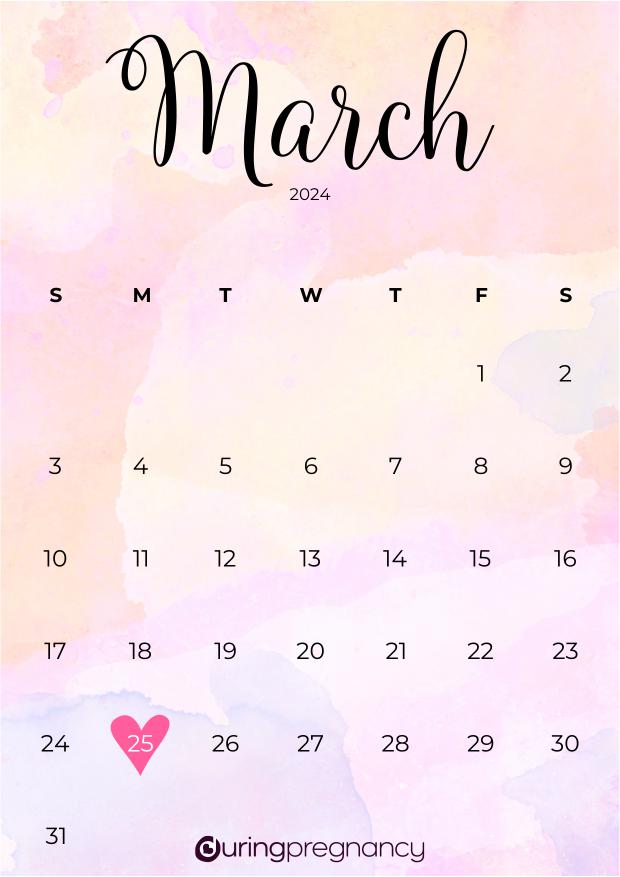 How Far Along Am I Due Date March 25, 2024