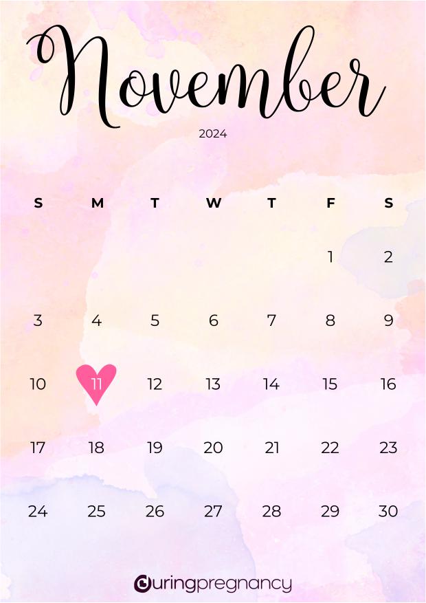 Due date calendarfor November 11, 2024