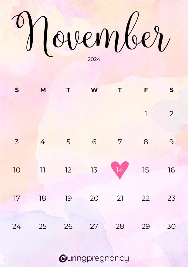 Due date calendarfor November 14, 2024