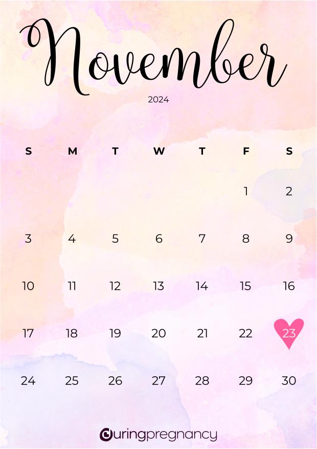 Due date calendarfor November 23, 2024