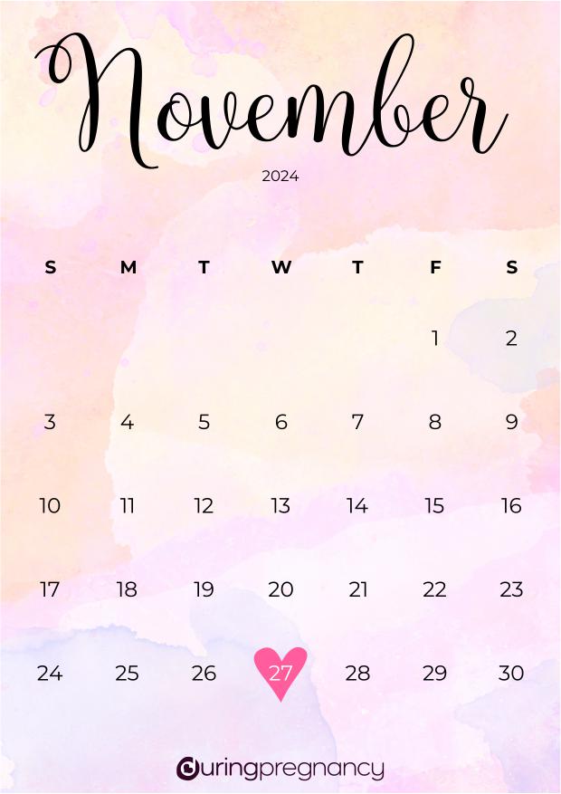 How Far Along Am I Due Date November 27, 2024