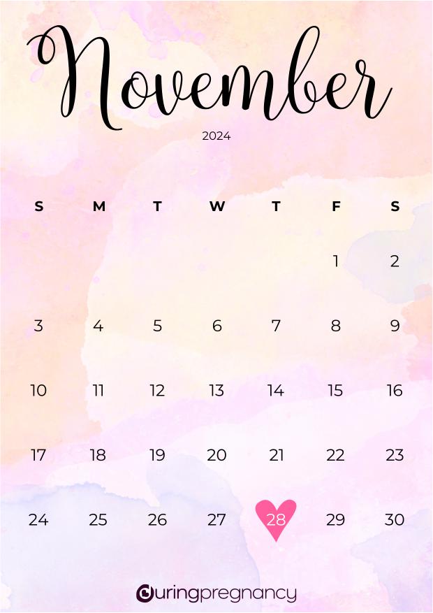 Due date calendarfor November 28, 2024