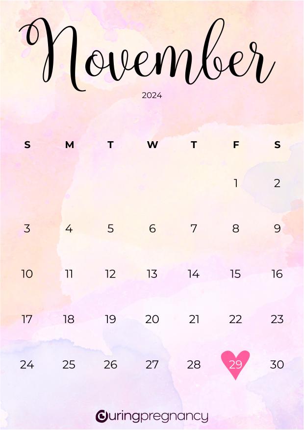 Due date calendarfor November 29, 2024