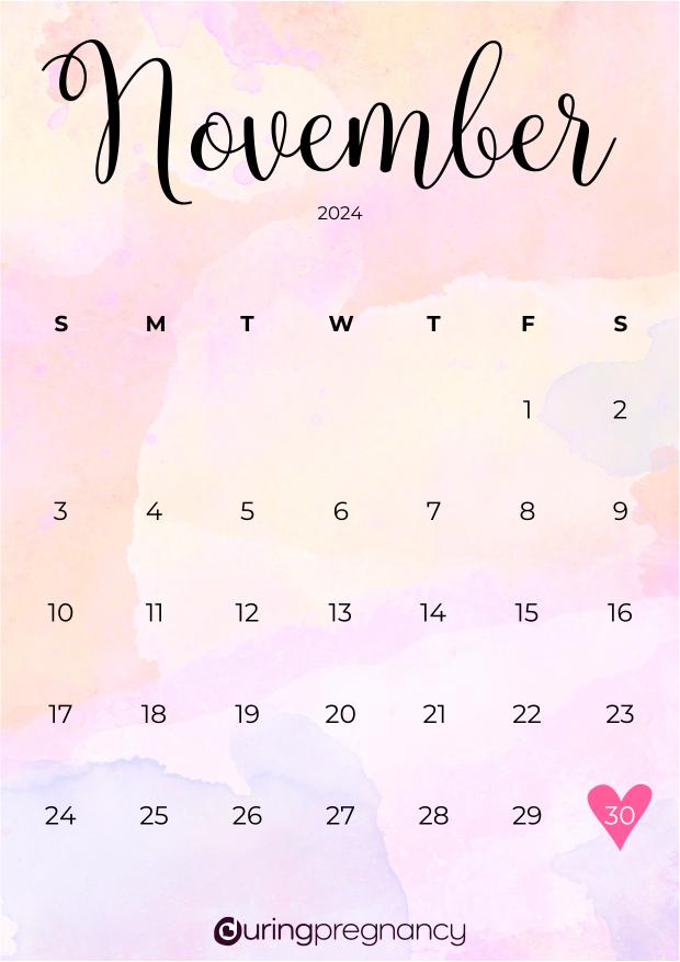 Your Due Date November 30, 2024
