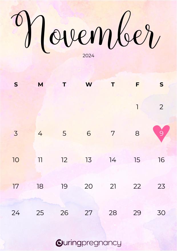 Due date calendarfor November 9, 2024