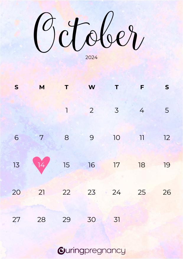 Due date calendarfor October 14, 2024