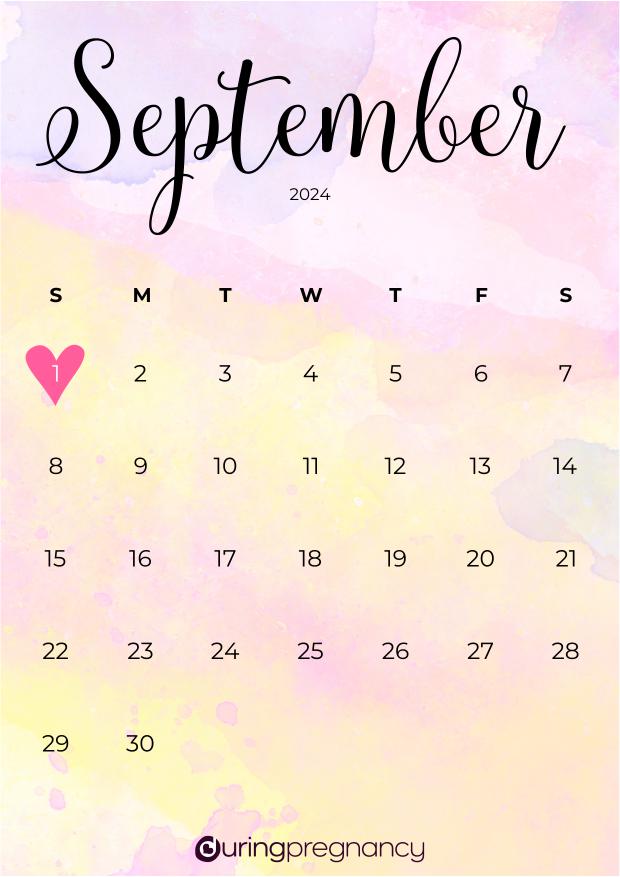Your Due Date September 1, 2024