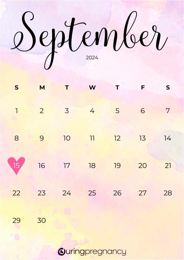 Your Due Date September 15, 2024