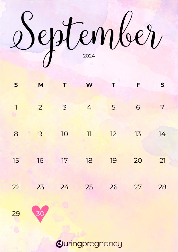 Due date calendarfor September 30, 2024