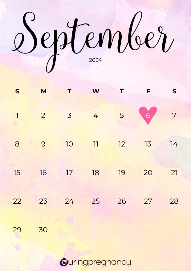 Your Due Date September 6, 2024
