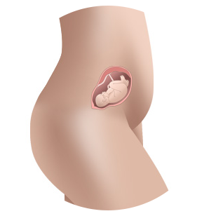 Baby at 16 weeks in womb