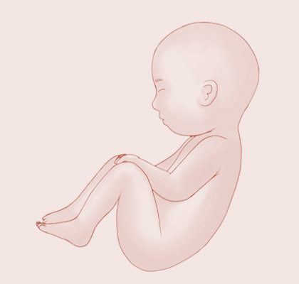 37 Weeks pregnant illustration