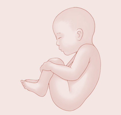 41 Weeks pregnant illustration