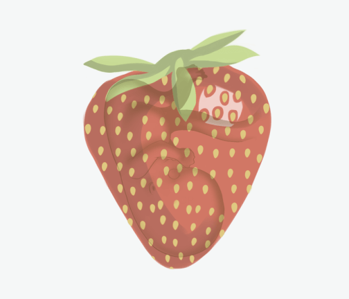 Size of baby: Strawberry