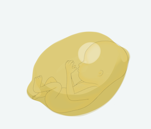 Size of baby: Lemon