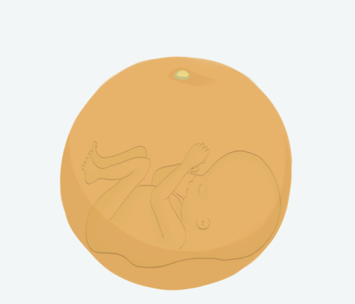 Size of baby: Orange