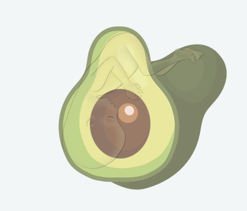 Size of baby: Avocado