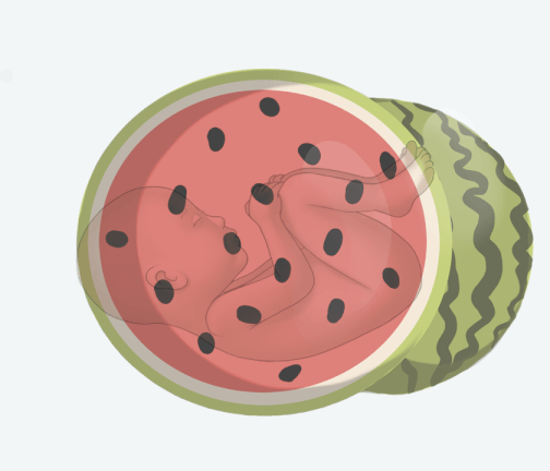 Size of baby: Watermelon