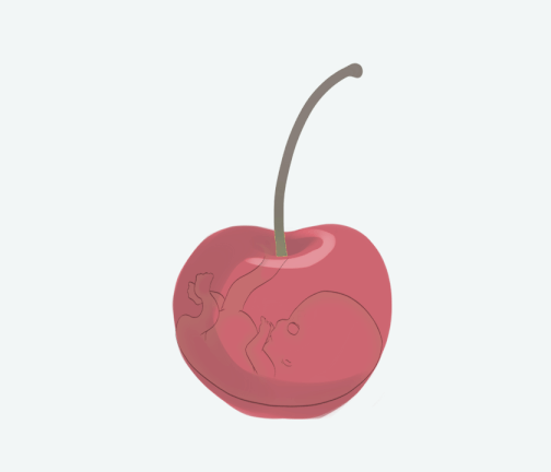 Size of baby: Cherry