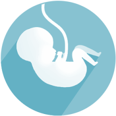 Pregnancy Week-by-Week icon