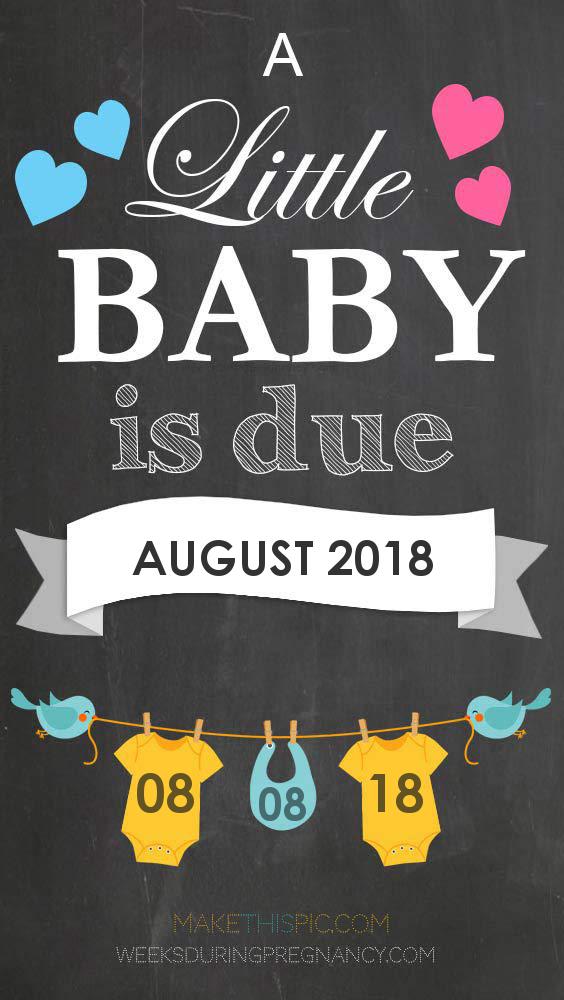 Due Date - August 08 Due Date: August 8 - Announcement Image