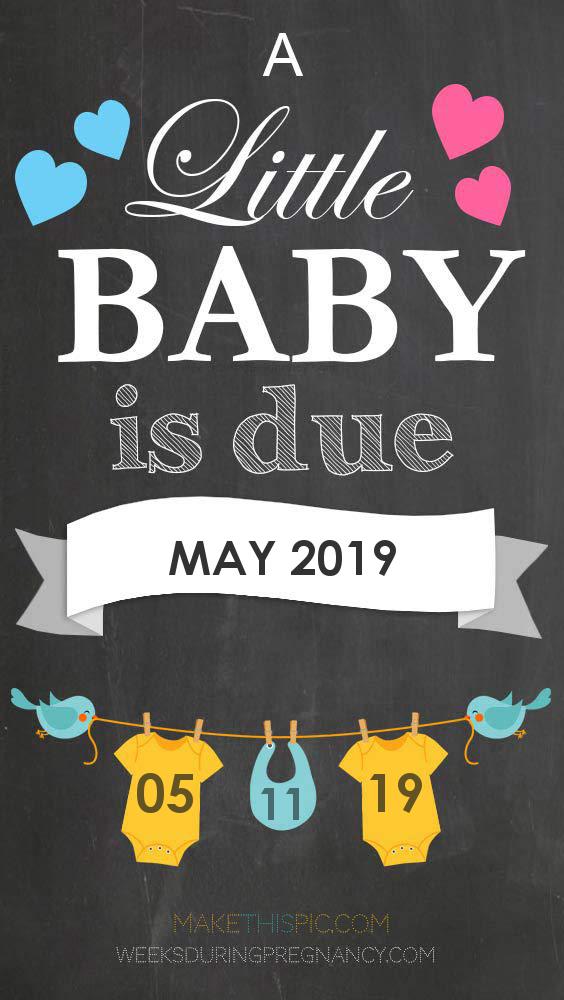 Due Date - May 11 Due Date: May 11 - Announcement Image