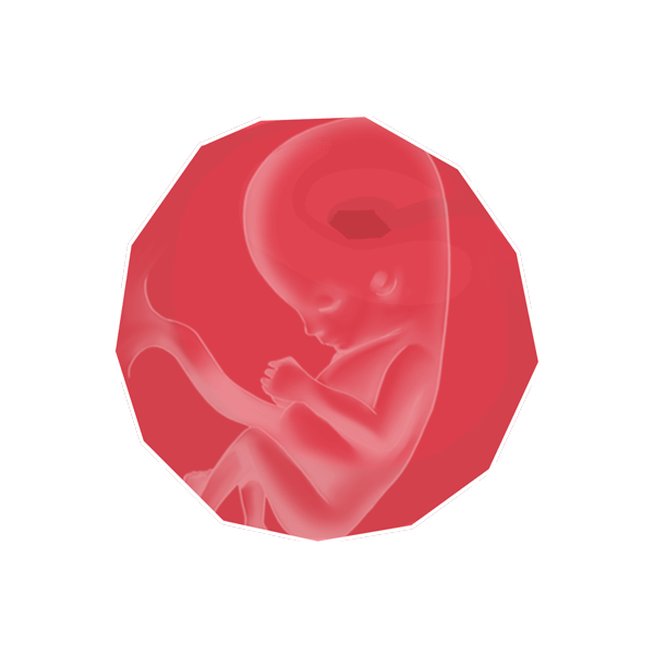 Size of baby: Plum