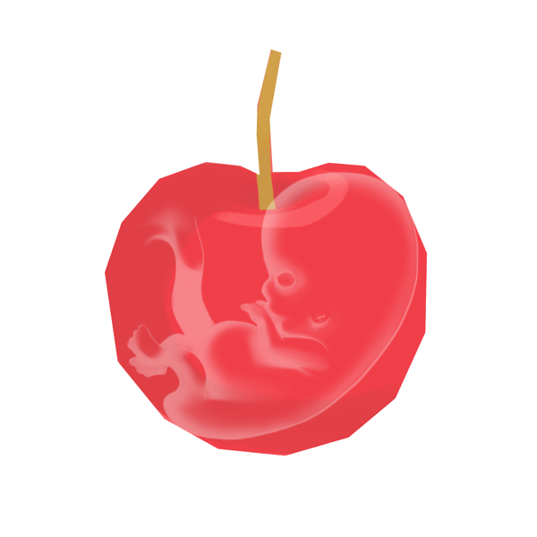 Size of baby: Cherry